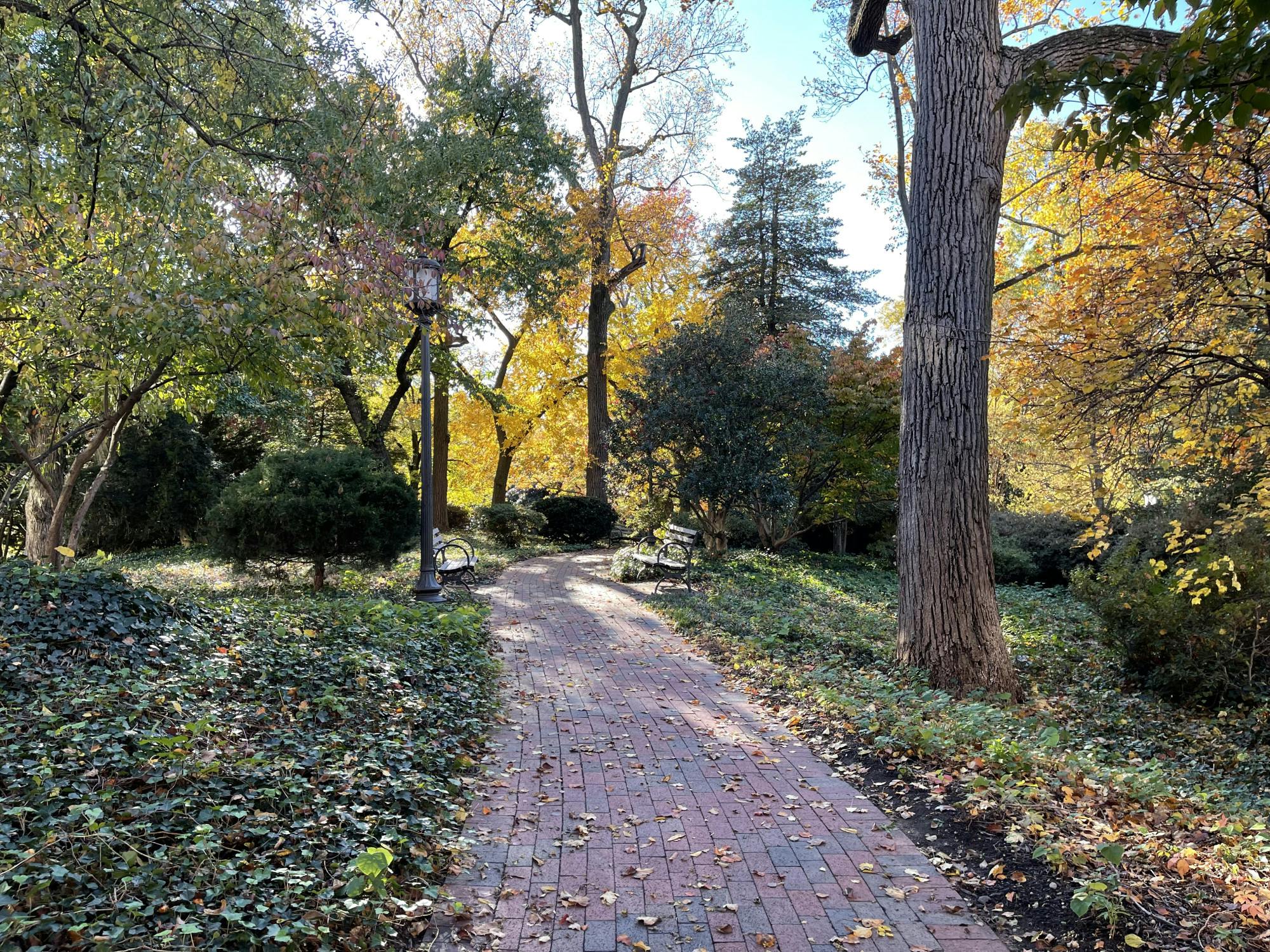 COURTESY OF MOLLY GAHAGEN
Gahagen shares how growing up in the subtropics influenced her love of fall in Baltimore.