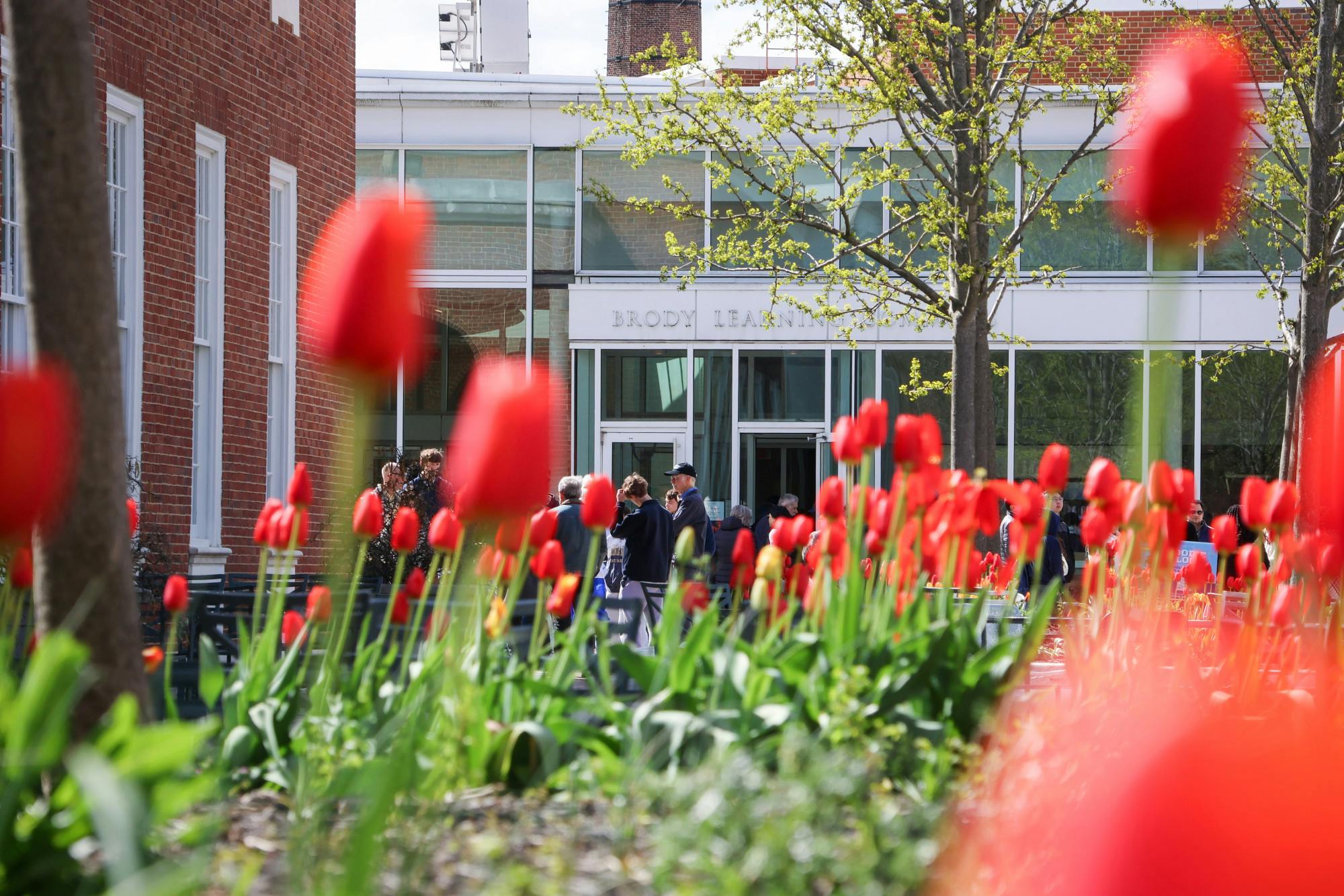 STEVEN SIMPSON / PHOTO EDITOR
In the second meeting, the 112th SGA senate discussed attendance expectations for meetings, the renovation of MSE and a draft of new guidelines on club funding.