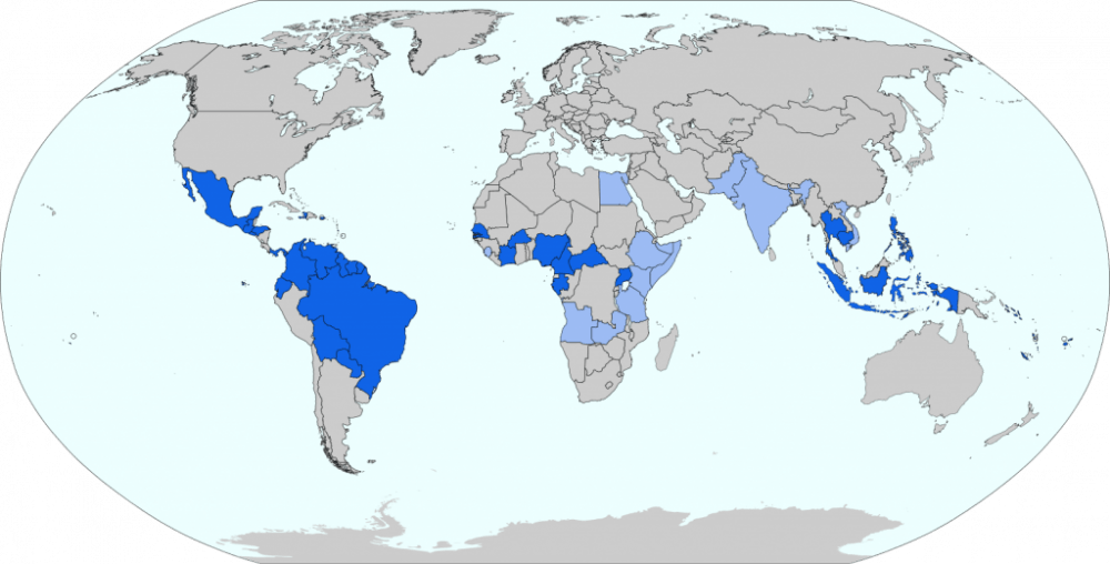  furfur/cc-by-sa-4.0
An estimate of the global spread of the potentially life-threatening Zika virus, as of January.
