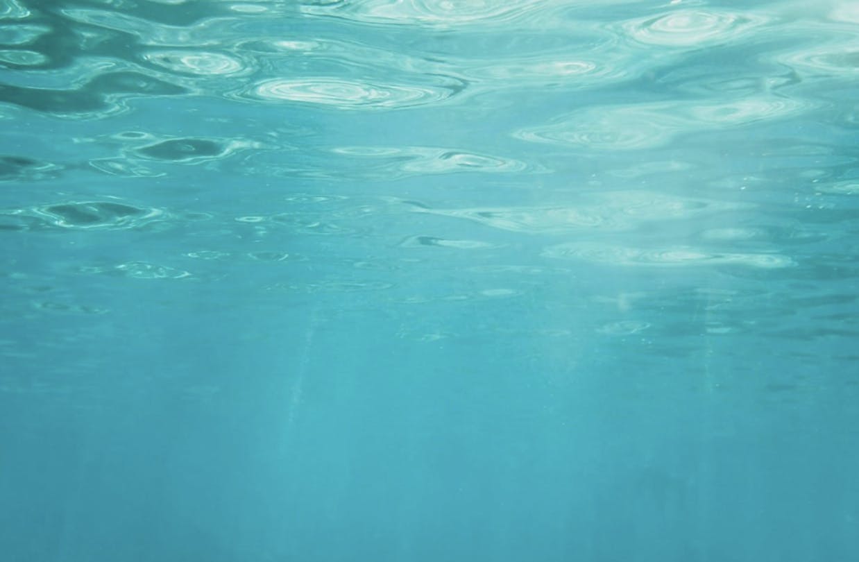 TOMMY KWAK / PUBLIC DOMAIN
Leiberman reflects on his journey as a writer and as a new freshman.