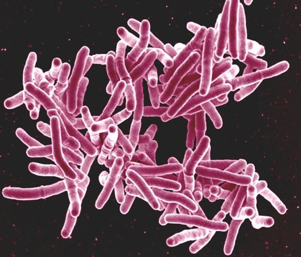 B9_Bacteria