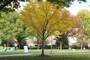  IVANA SU/PHOTOGRAPHY EDITOR
 All it takes to build a relationship with our campus is a well-timed, deep breath in front of Gilman. 
