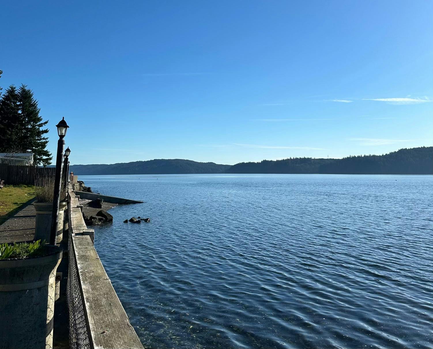 COURTESY OF AASHI MENDPARA
Mendpara argues that humans need each other to build more meaningful lives, and that this is not necessarily a bad thing.