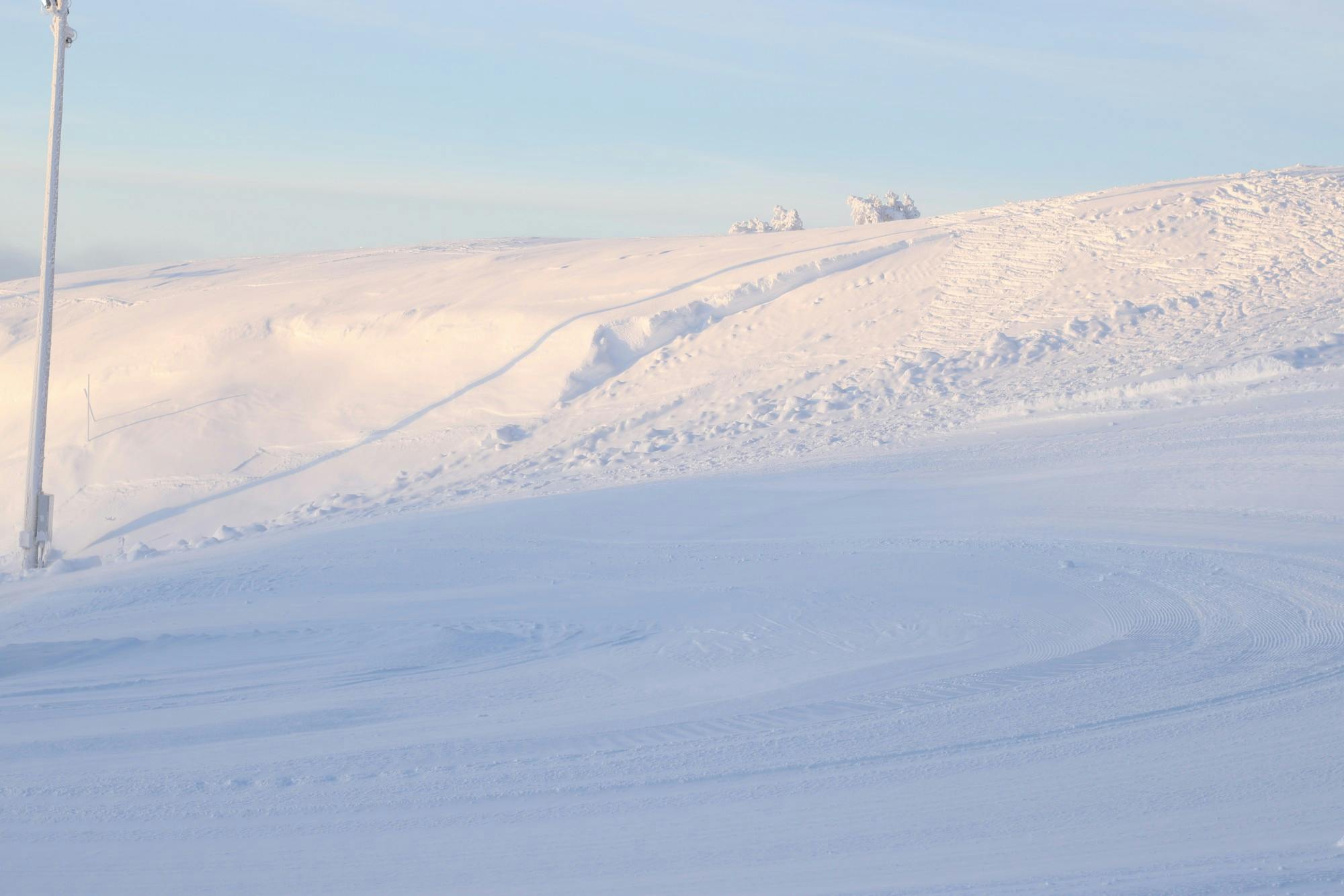 COURTESY OF CAS GUSTAFSSON