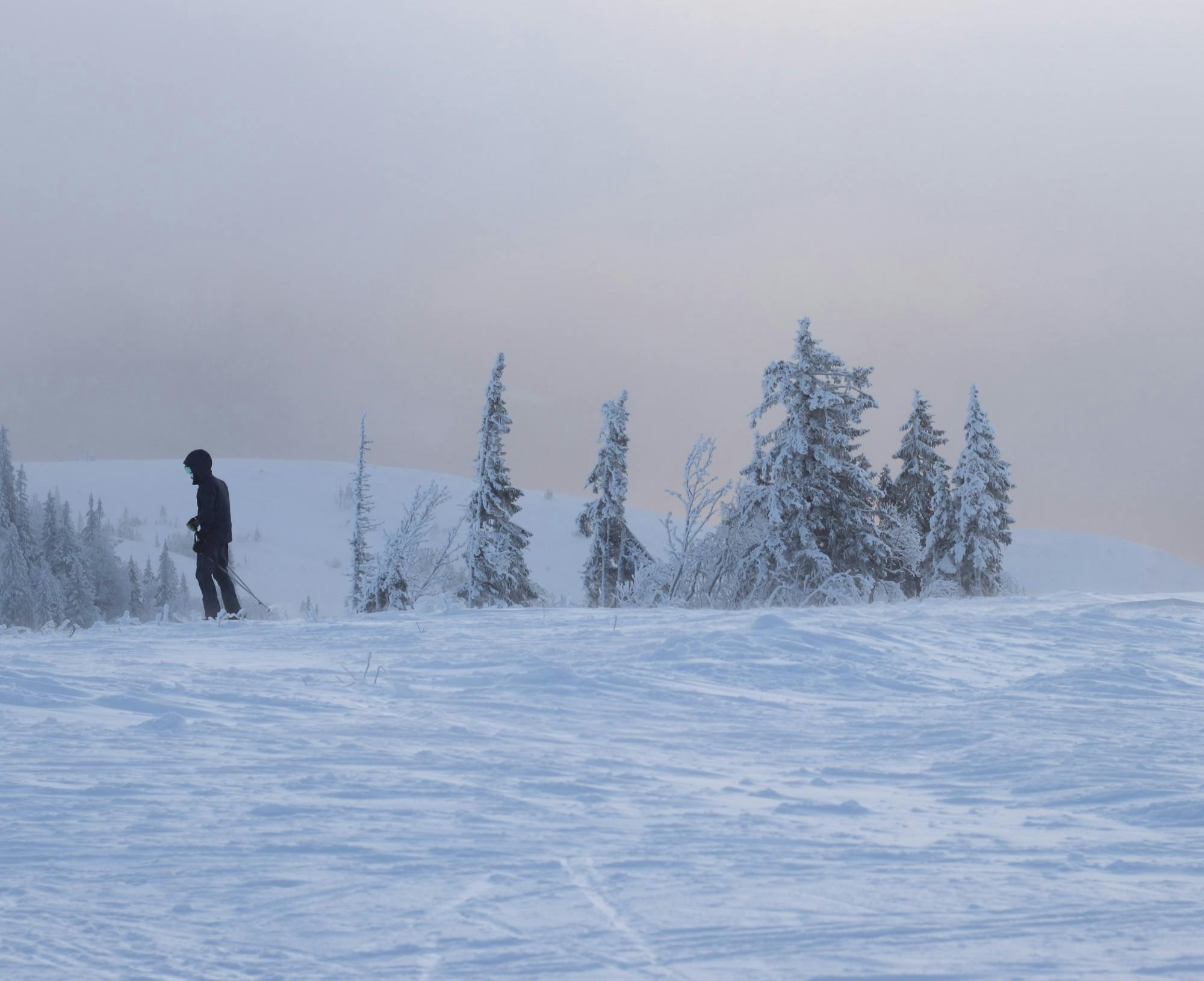 COURTESY OF CAS GUSTAFSSON