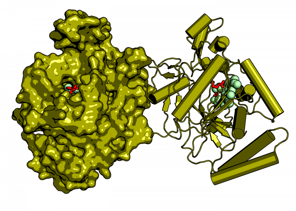 COURTESY OF WWW.BL1231.ALS.LBL.GOV