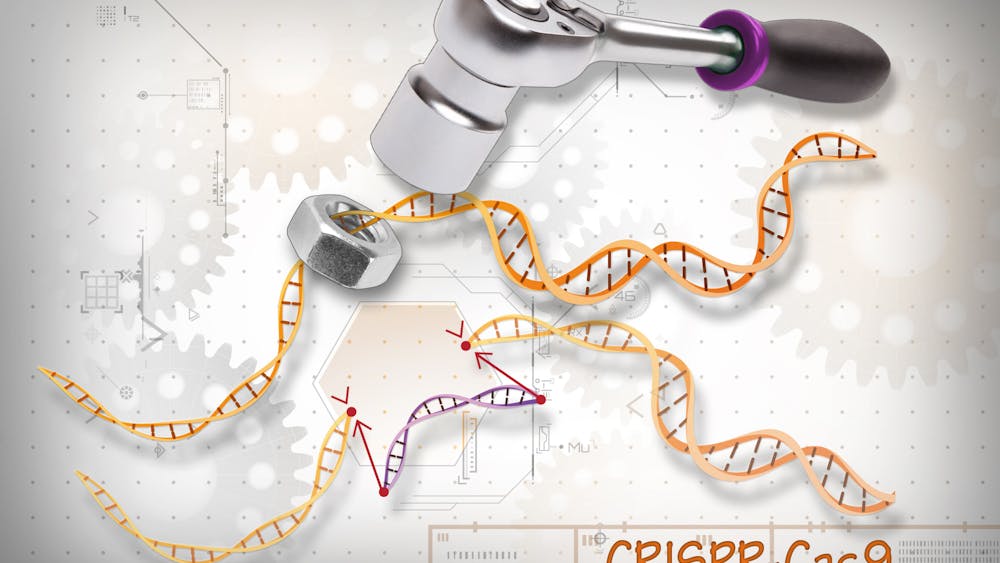Ernesto del Aguila III / CC BY-NC 2.0
CRISPR editing is a technique that allows scientists to make precise changes to the genome by cutting DNA at specific locations.