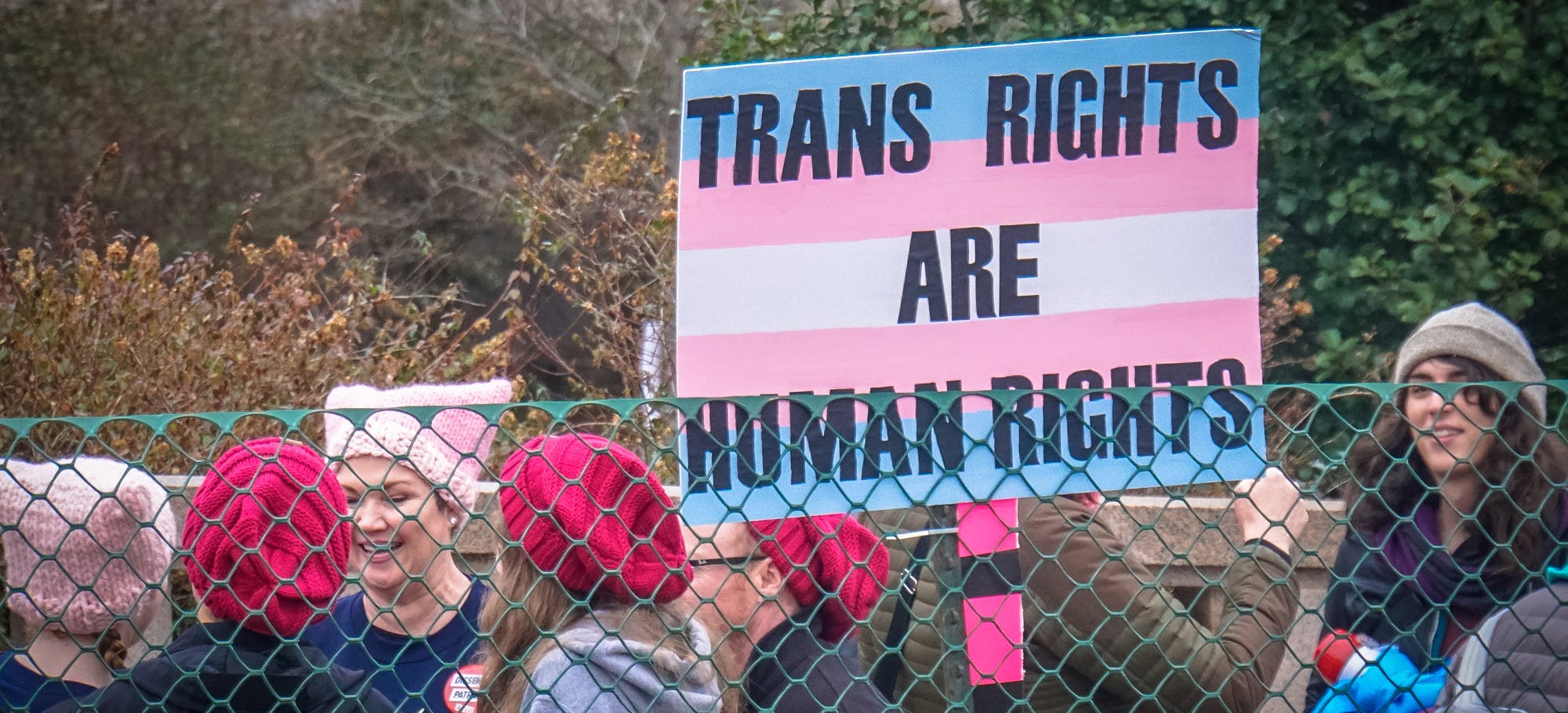 RHODODENDRITES / CC-SA-4.0
Transgender Awareness Week brings attention to J.K. Rowling’s disappointing statements against the queer community.&nbsp;