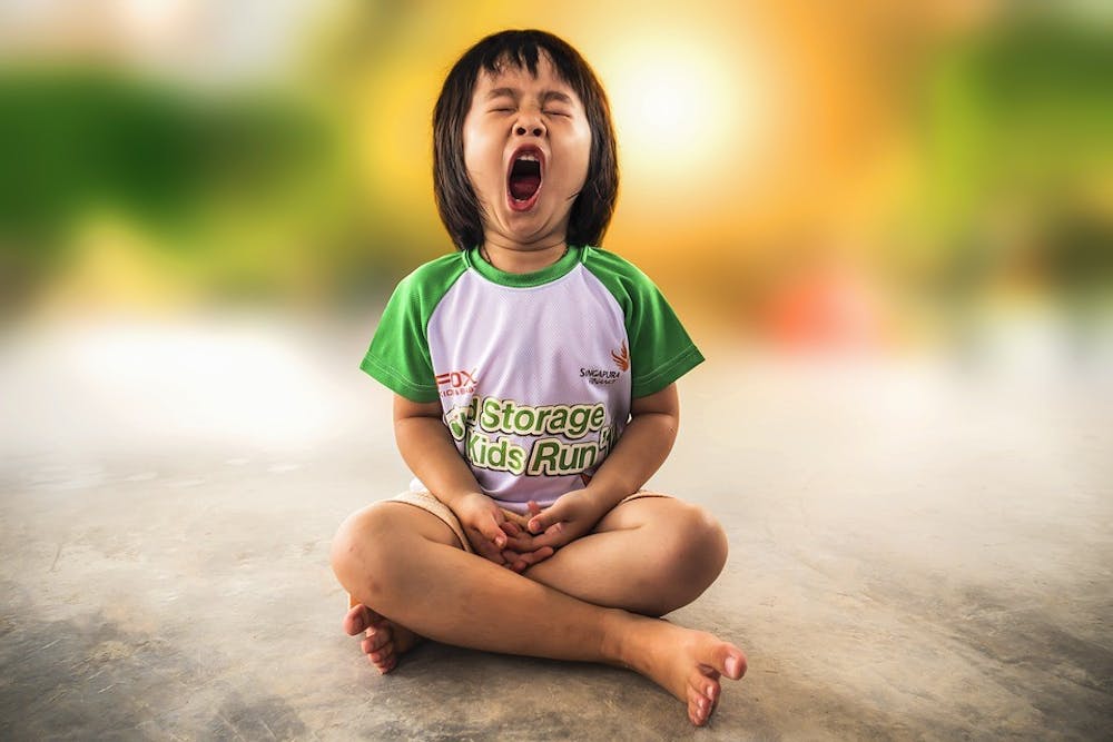 yawning offers insight into