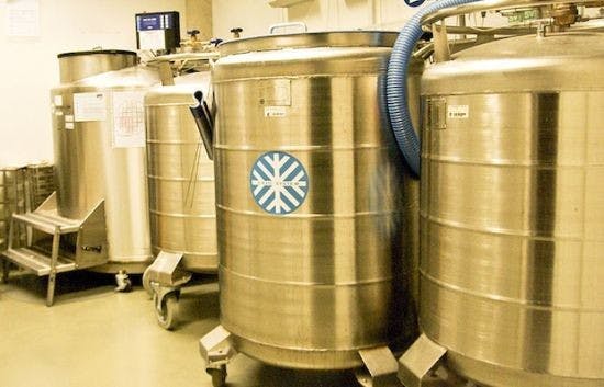 COURTESY OF WWW.ECOCHUNK.COM
British engineer Peter Dearman has proposed a new car engine able to run off of liquid nitrogen. Nitrogen makes up 78 percent of our atmosphere.