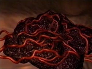 COURTESY OF WWW.KLEMKELAB.UCSD.EDU
The proposals focused on solutions to metastasis, the spread of cancer.