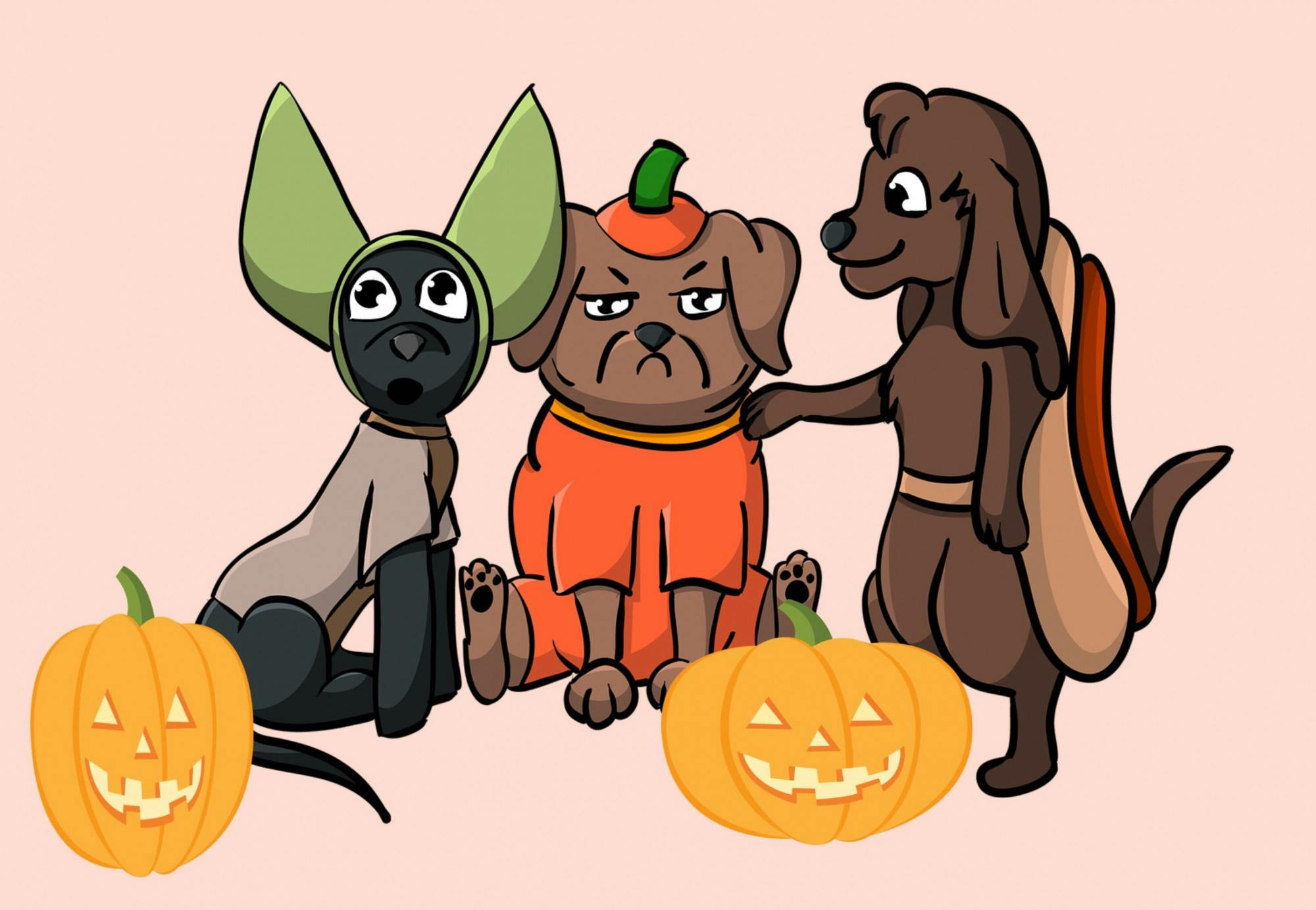 NEHA SANGANA/PHOTOGRAPHY EDITOR
Head down to Preston Gardens in Mount Vernon for dogs in cute costumes like these on Thursday.