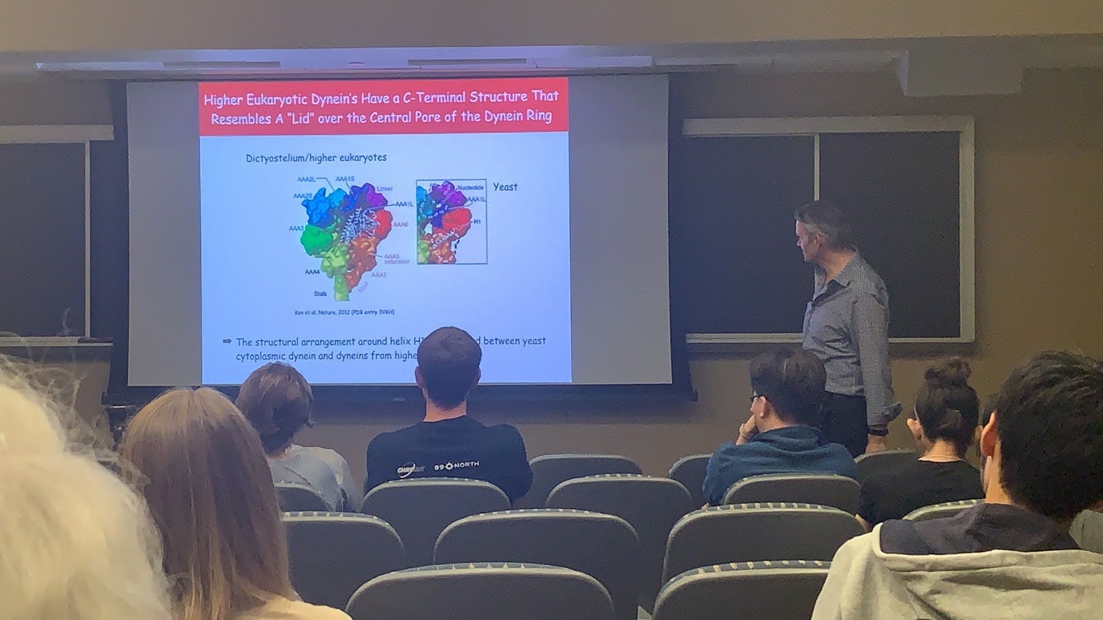 COURTESY OF ISABEL THOMAS
Professor Gennerich explained that the two heads of dyenin seem to “know” their relative positions.&nbsp;
