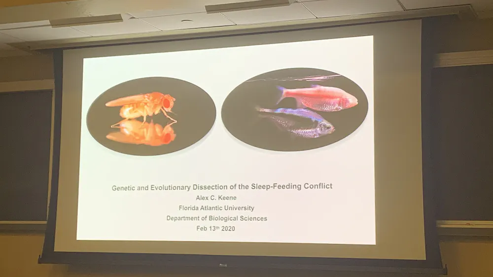 COURTESY OF WILLIAM BLAIR
Ale Keene of Florida Atlantic University discussed sleep-metabolism in flies.