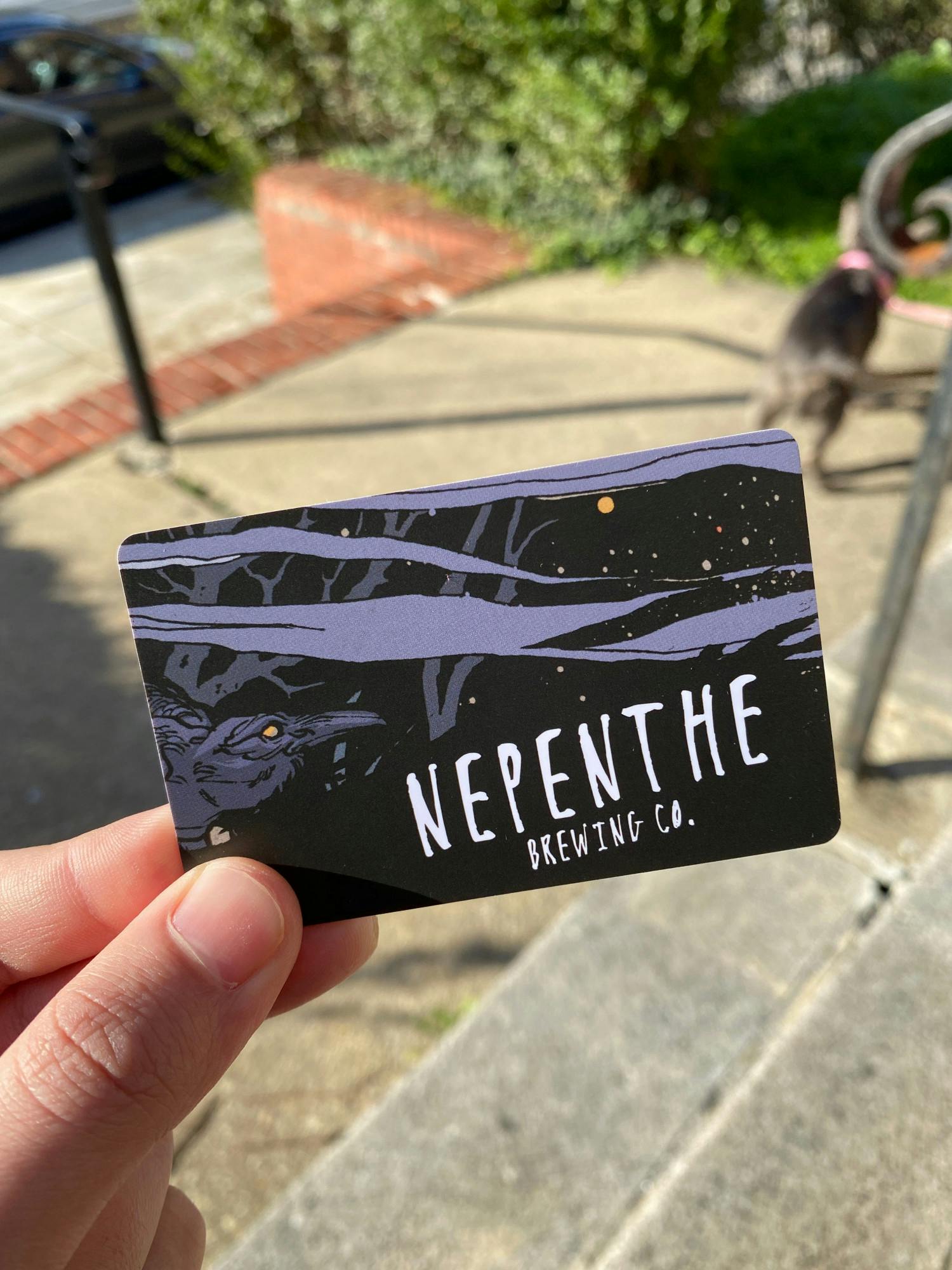 COURTESY OF HUNTER HARRINGTON
Skillful trivia can beget prizes, such as this $25 gift card from Nepenthe.