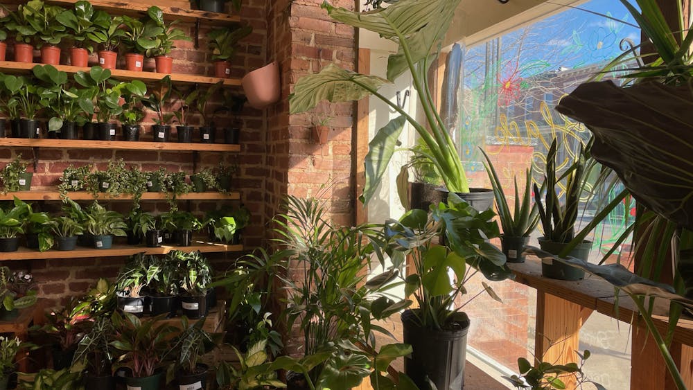 COURTESY OF GRACE YANG AND LINDA FAN
B.Willow provides a diverse array of plants to help you spruce up your dorm room.