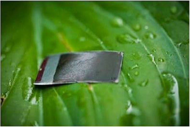 COURTESY OF WWW.RESEARCH.GOV
Unlike its predecessors, the new artificial leaf can heal its damages. 