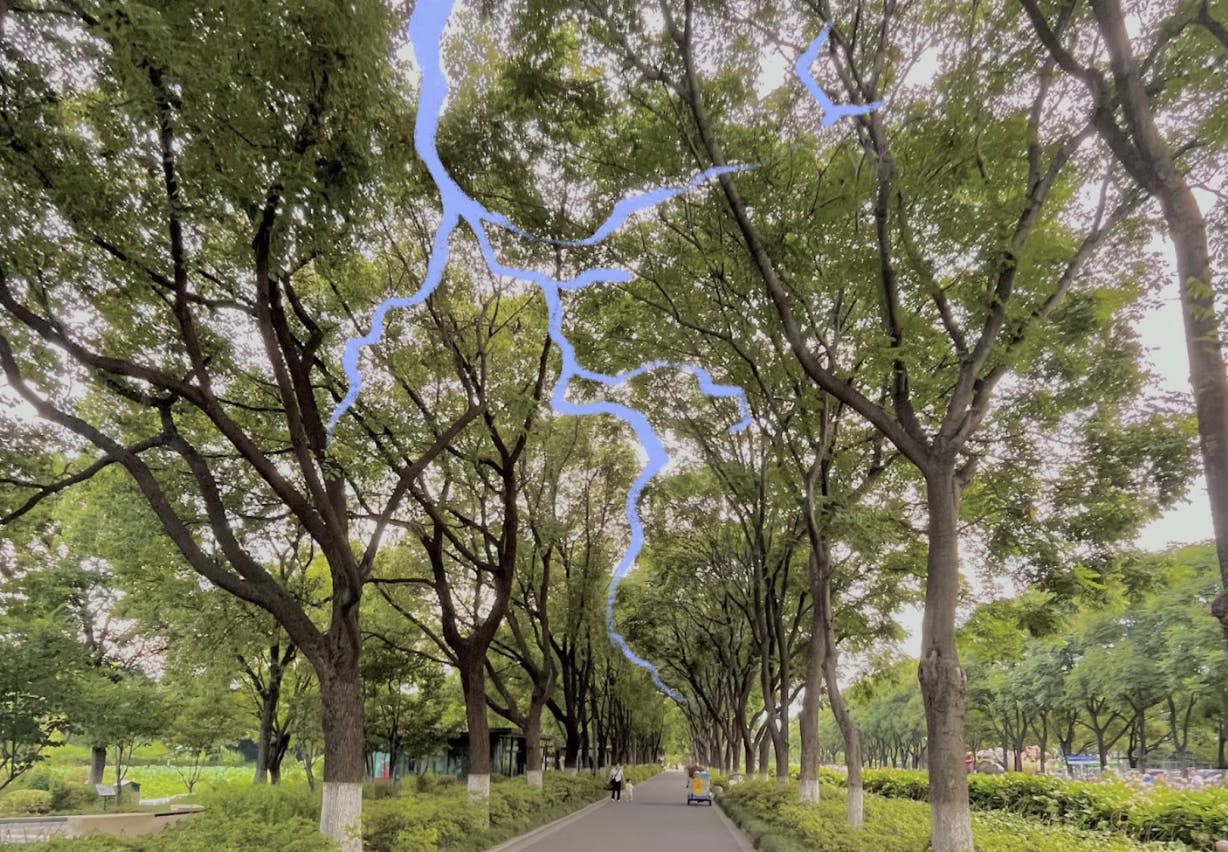 COURTESY OF CRYSTAL WANG
Wang reflects on how natural and built environments speak.