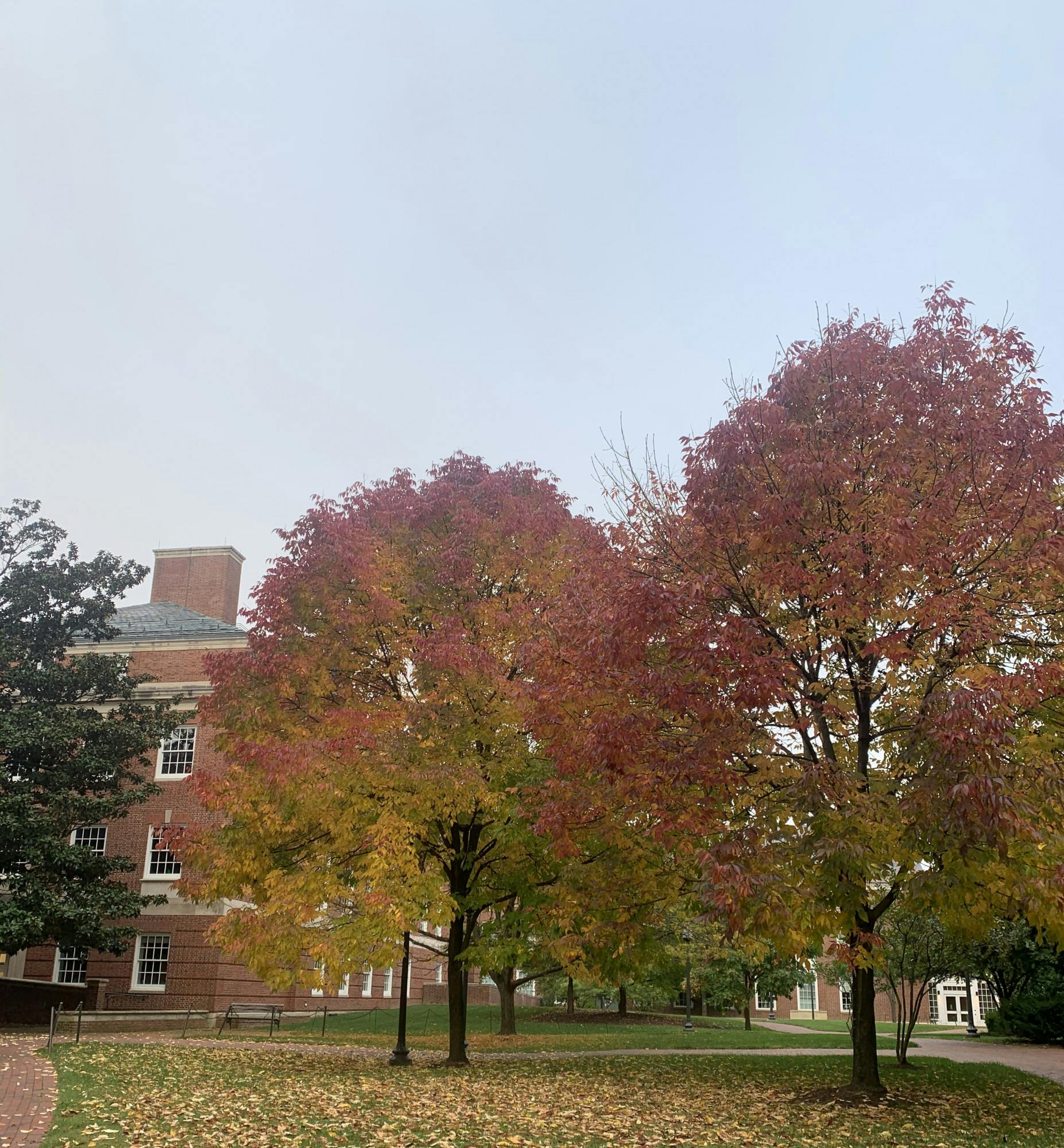 COURTESY OF KATY WILNER
Abrams offers some fun ways students going home for break can spend their last weekend in Baltimore.