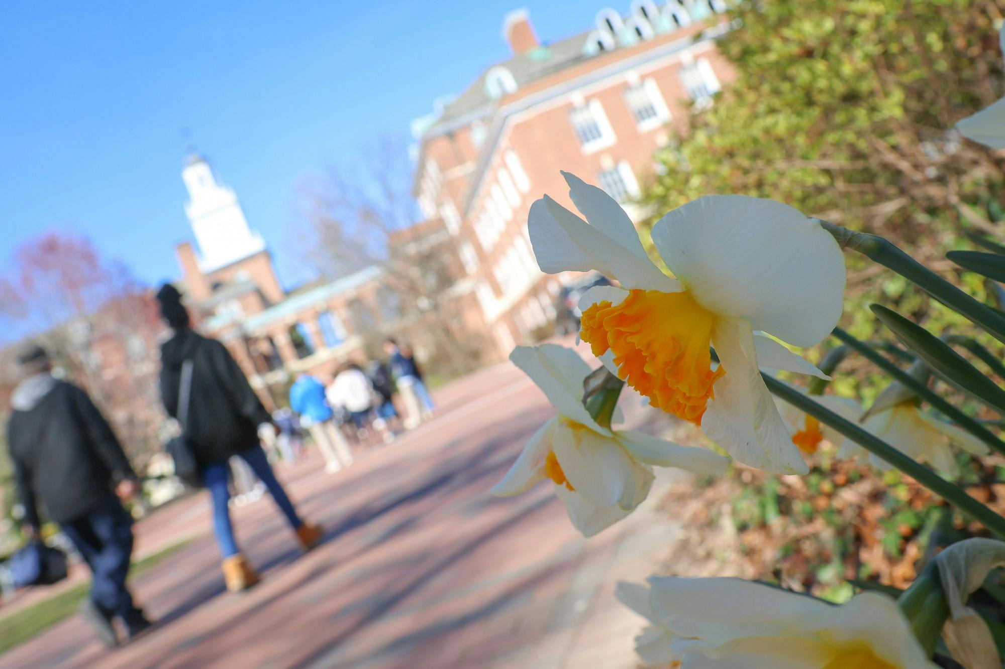 PHOTO EDITOR / STEVEN SIMPSON
SGA passed the APIDA Fashion Show Funding Bill.