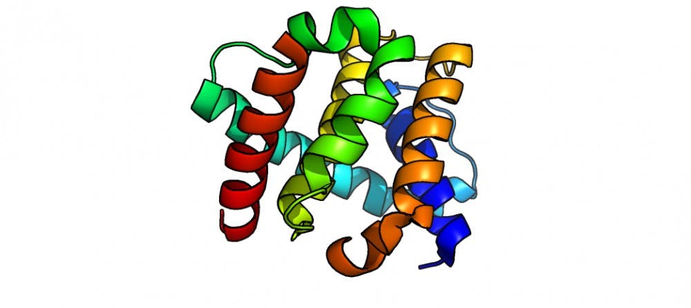 COURTESY OF MICHAEL YAMAKAWA
Scientists have further explained the link between health and exercise by looking at BCL2-beclin-I complexes.