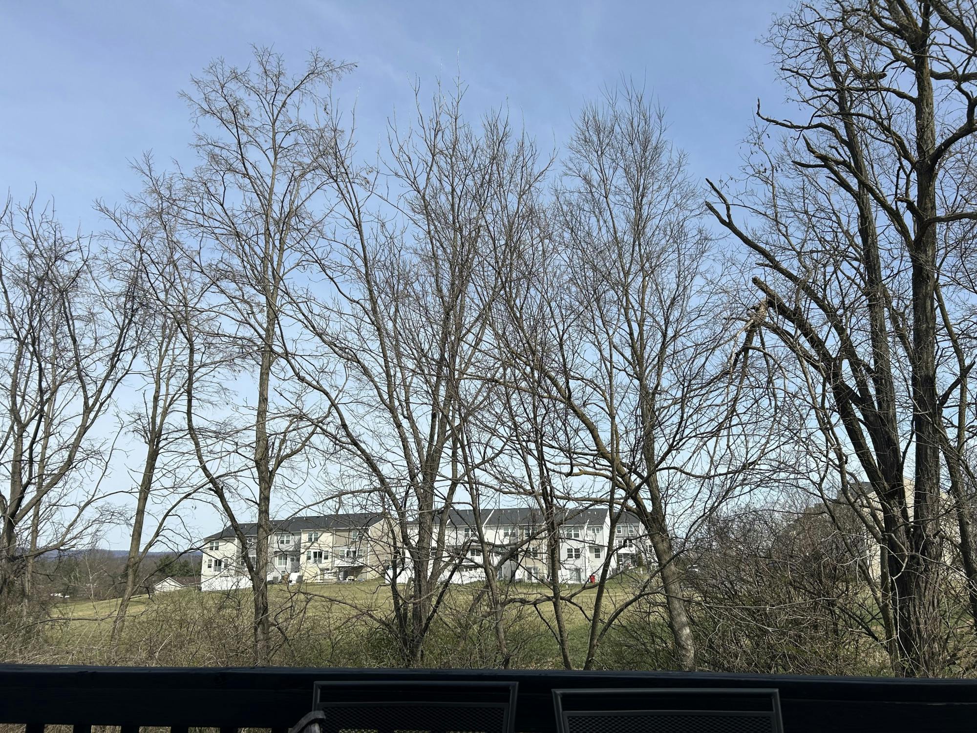 COURTESY OF NISHAD OKUTOYI
Nishad reflects on how it feels to mask.