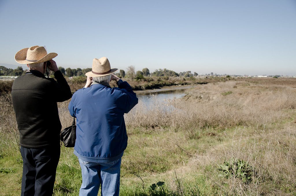 JARED WONG/CC BY 2.0
Researchers believe that AI technologies will assist in determining the best practices to help people age.