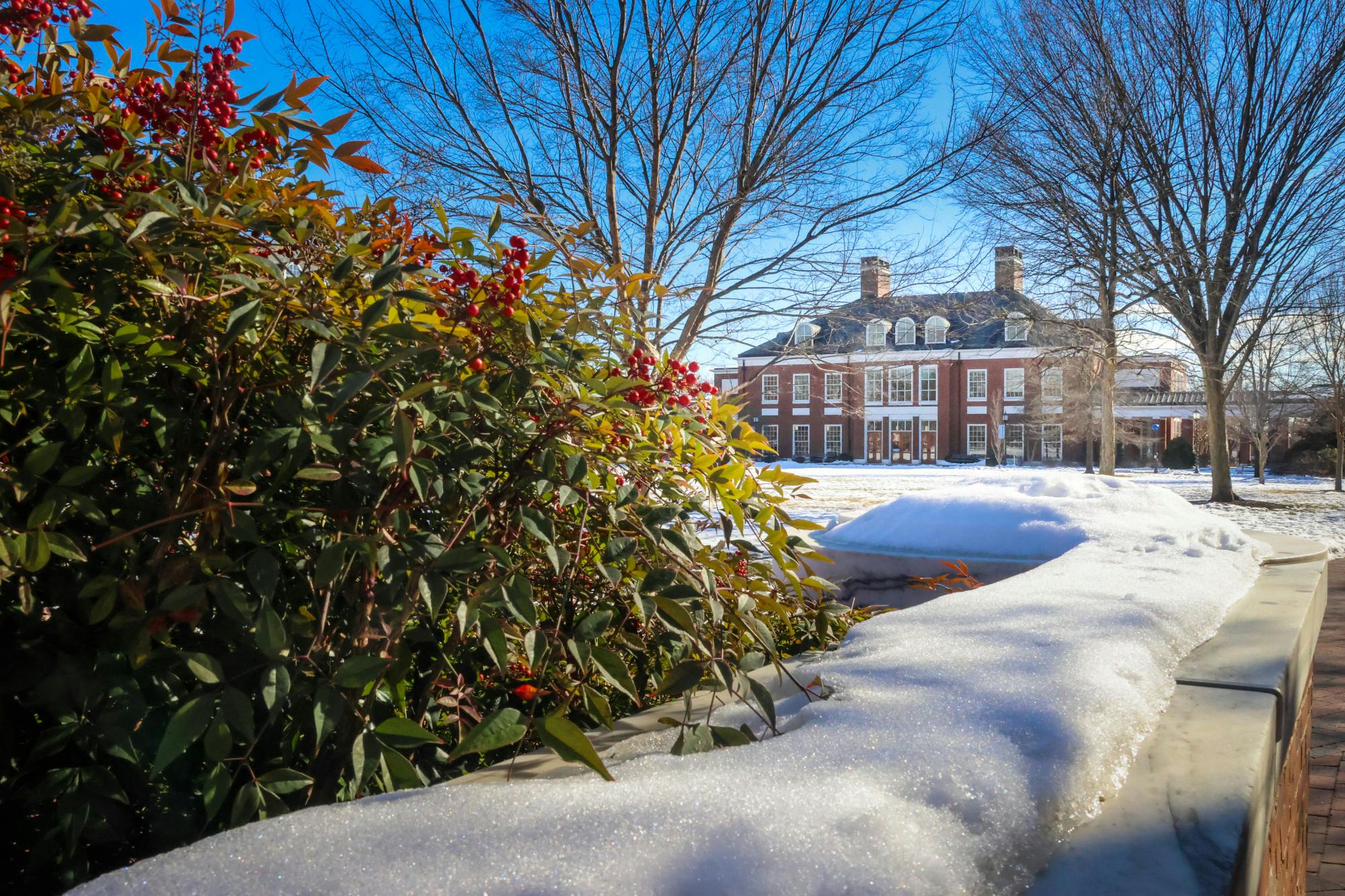 STEVEN SIMPSON / PHOTO EDITOR
In their weekly meeting on Tuesday, Feb. 11, SGA planned an upcoming Valentine's Day event and continued to push for expanded and improved study spaces on campus.