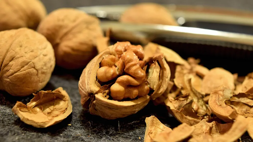 Protein Walnuts Nuts Healthy Snack Raw Brown