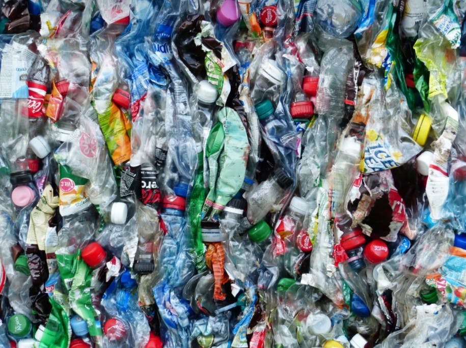 CC0
Baltimore’s Office of Sustainability has been making progress toward environmentally-friendly policies.