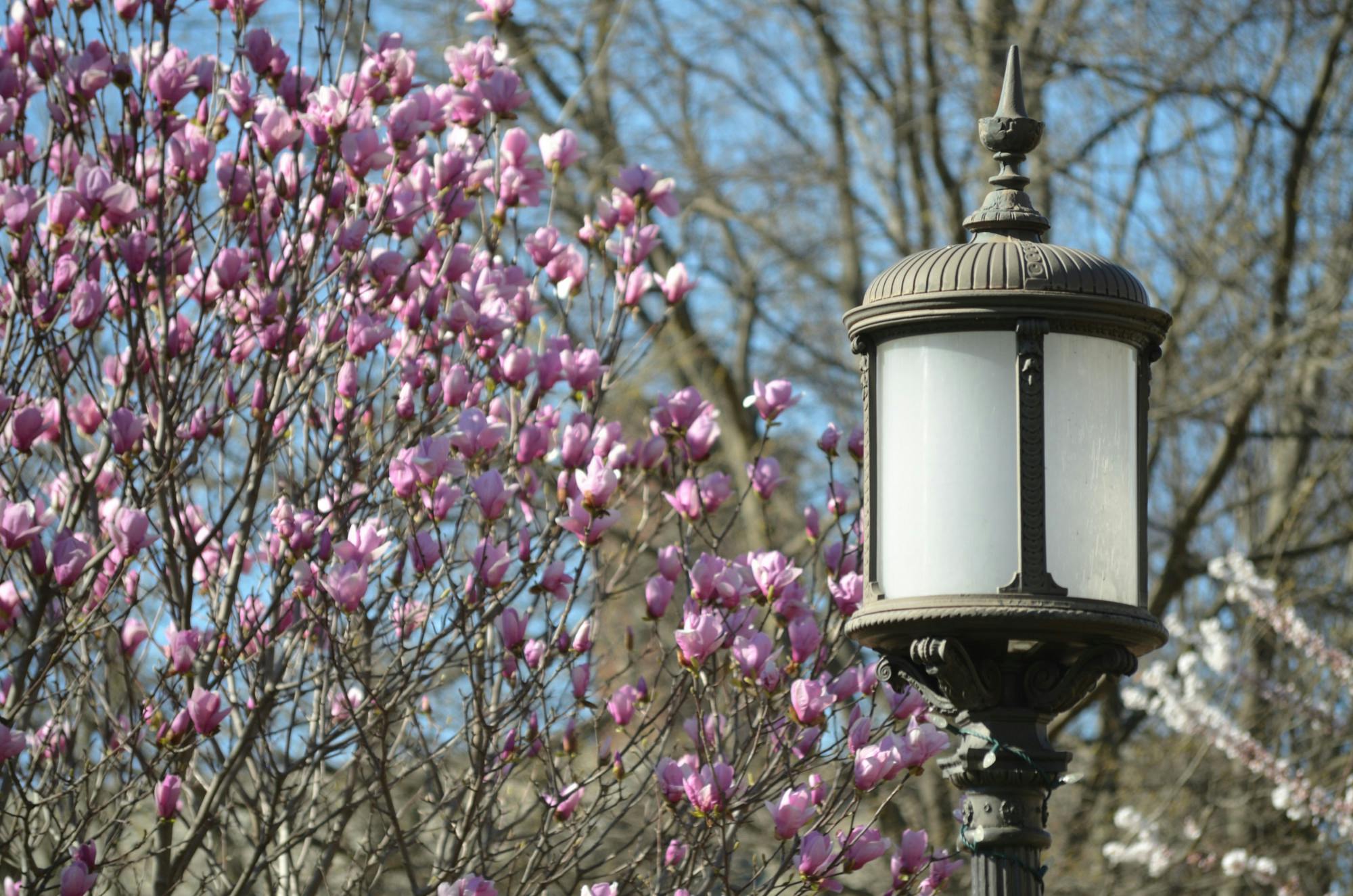 JOSHUA LONSTEIN / PHOTO EDITOR
SGA held its weekly meeting to inaugurate members of the executive board for the 2026-2027 academic year. &nbsp;