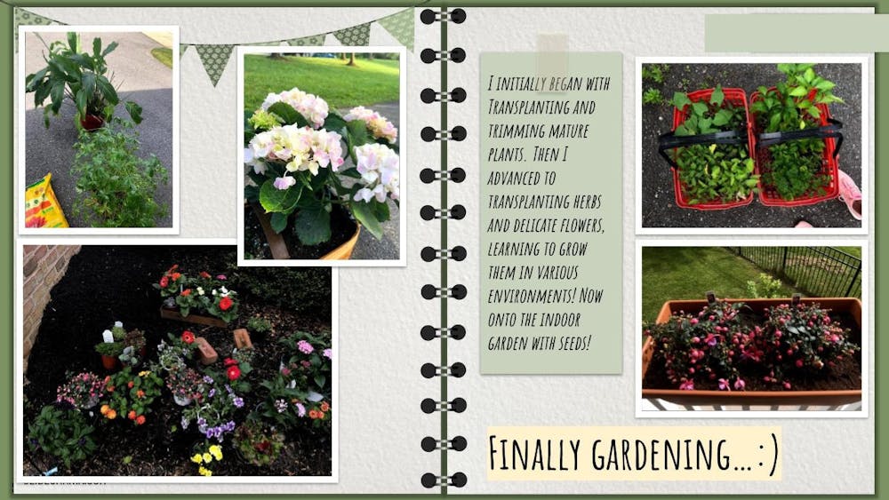 COURTESY OF SMITHA MAHESH
The above scrapbook documents Mahesh’s gardening achievements, from herbs in her apartment to the garden her significant other Alex maintains.&nbsp;