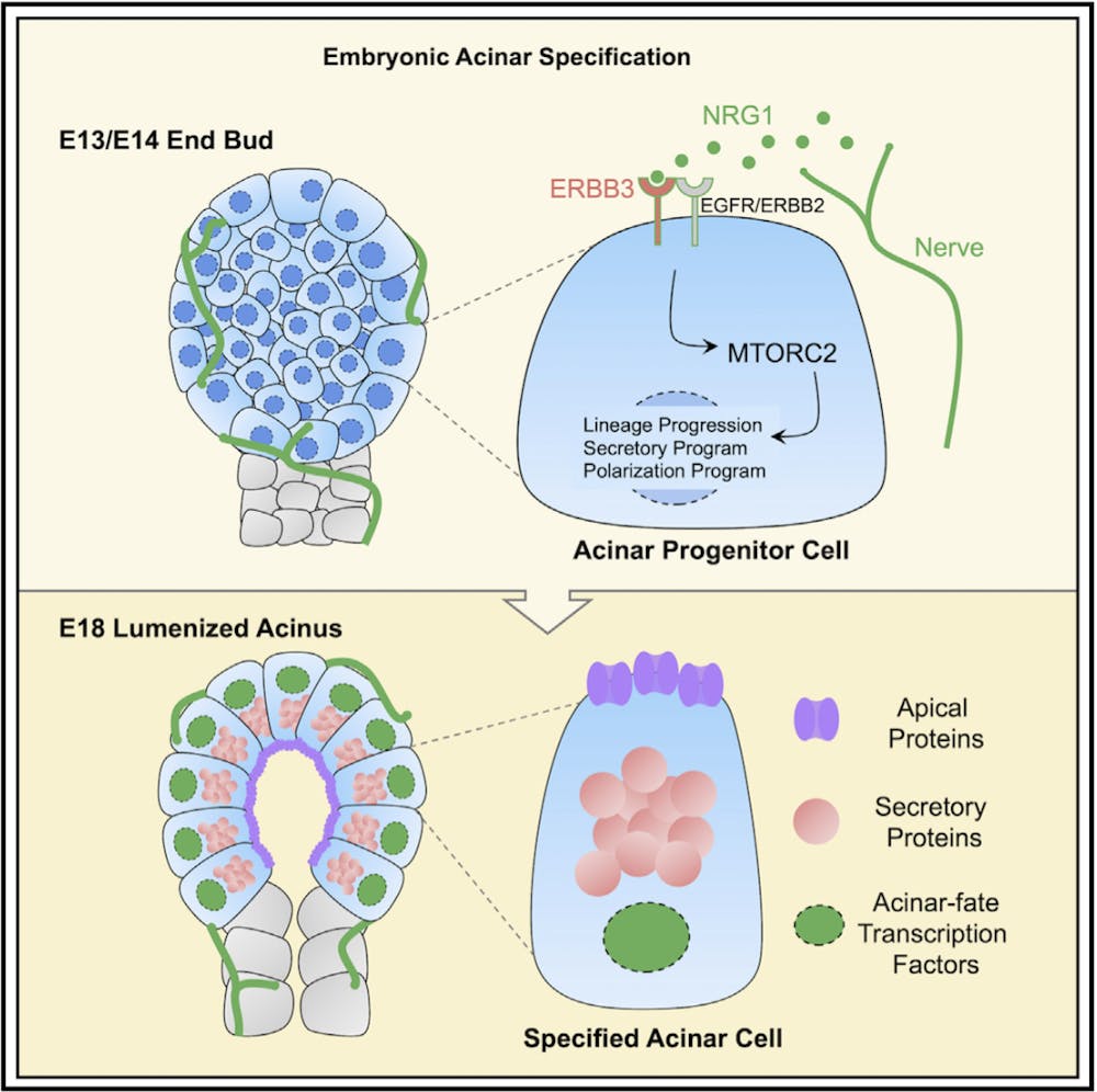 screenshot-2026-02-21-at-12-30-07-am