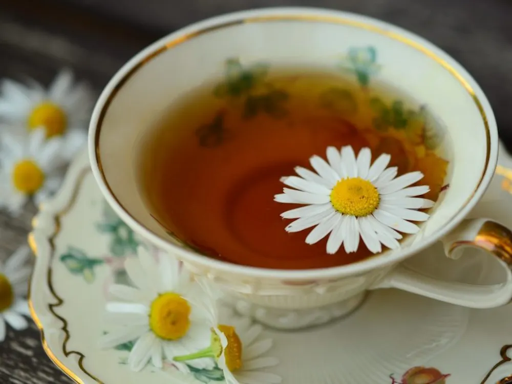 Public Domain
A cup of tea daily can do wonders for one’s mental acuity later in life.