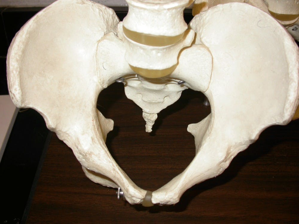 COURTESY OF WWW.EMPLOYEES.CSBSJU.EDU