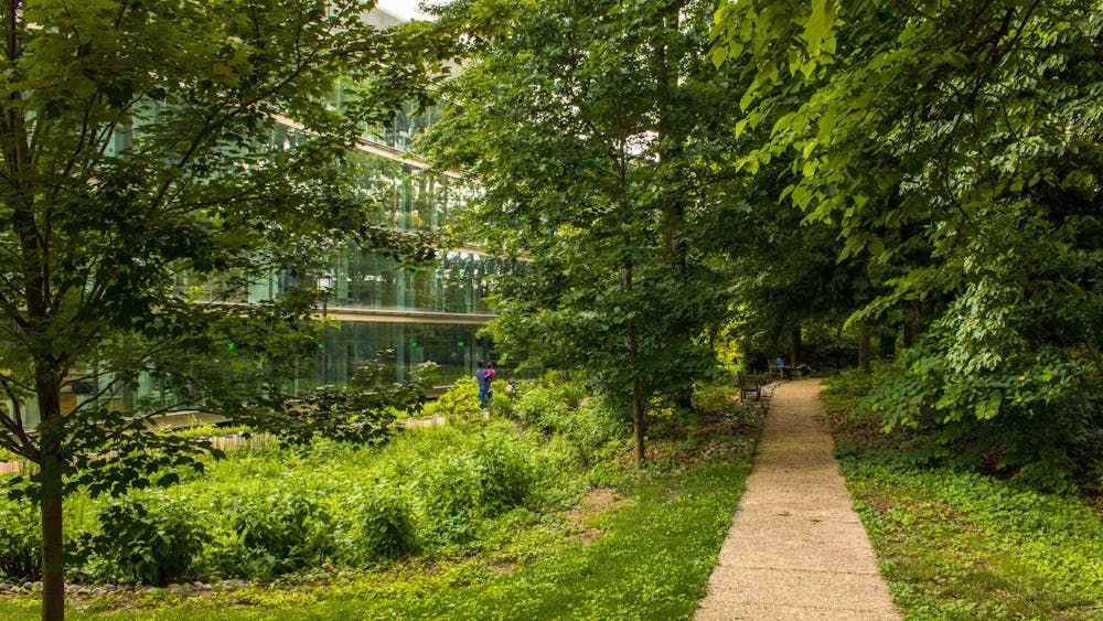 FILE PHOTO
Kim explores the dichotomy of nature and mankind by analyzing humanity’s departure from what is “natural.”