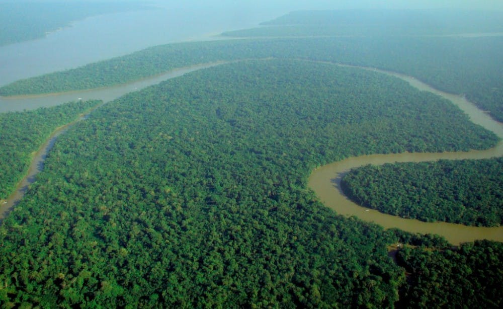  lubasi/cc-by-sa-2.0
Agricultural expansion has negatively impacted the Amazon Rainforest.