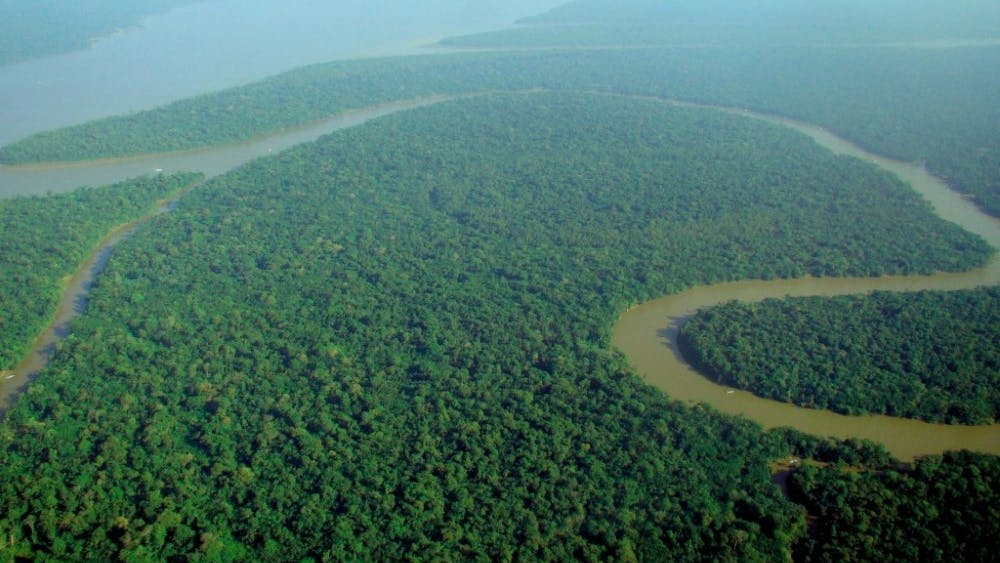  lubasi/cc-by-sa-2.0
Agricultural expansion has negatively impacted the Amazon Rainforest.