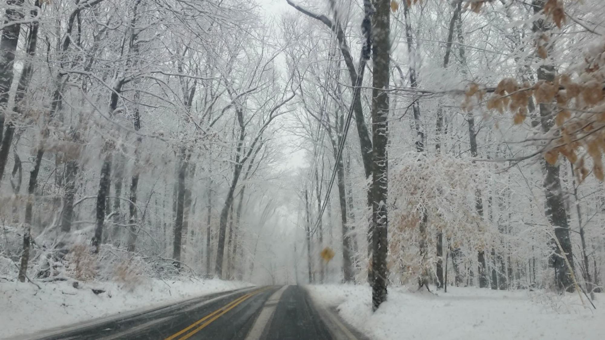 COURTESY OF JAMIE KIM
As Christmas nears, Kim considers where home really is and what it means to find belonging.