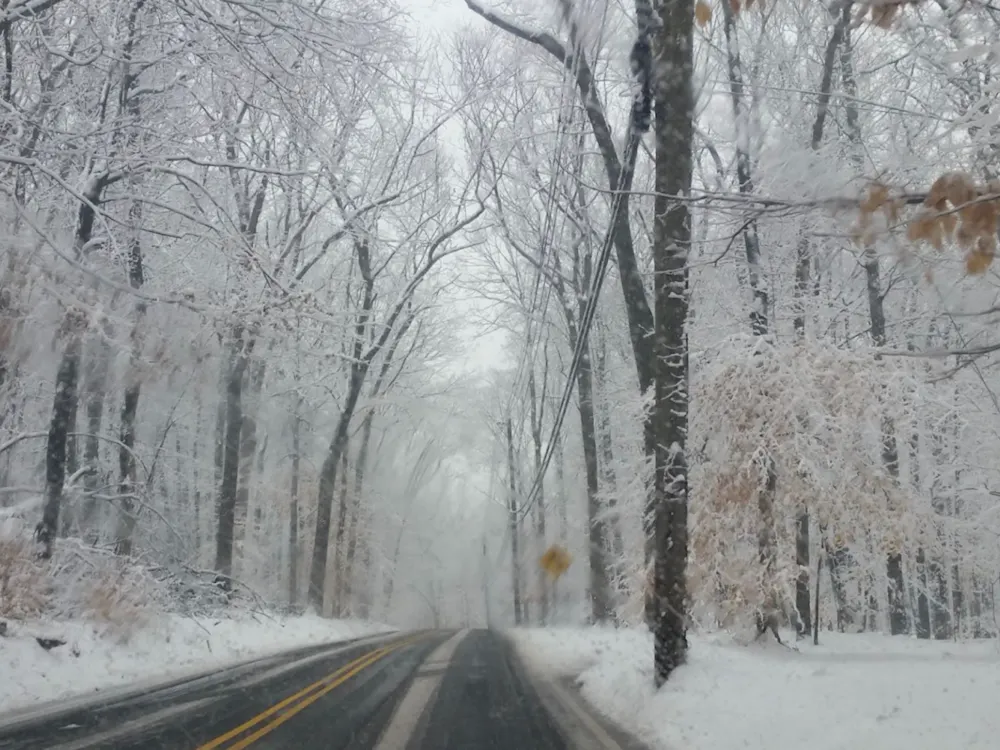 COURTESY OF JAMIE KIM
As Christmas nears, Kim considers where home really is and what it means to find belonging.