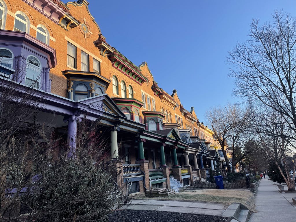 COURTESY OF GRETA MARAS
Maras wants you to check out the great shows and Valentine's Day pop-ups happening around the city this week.&nbsp;