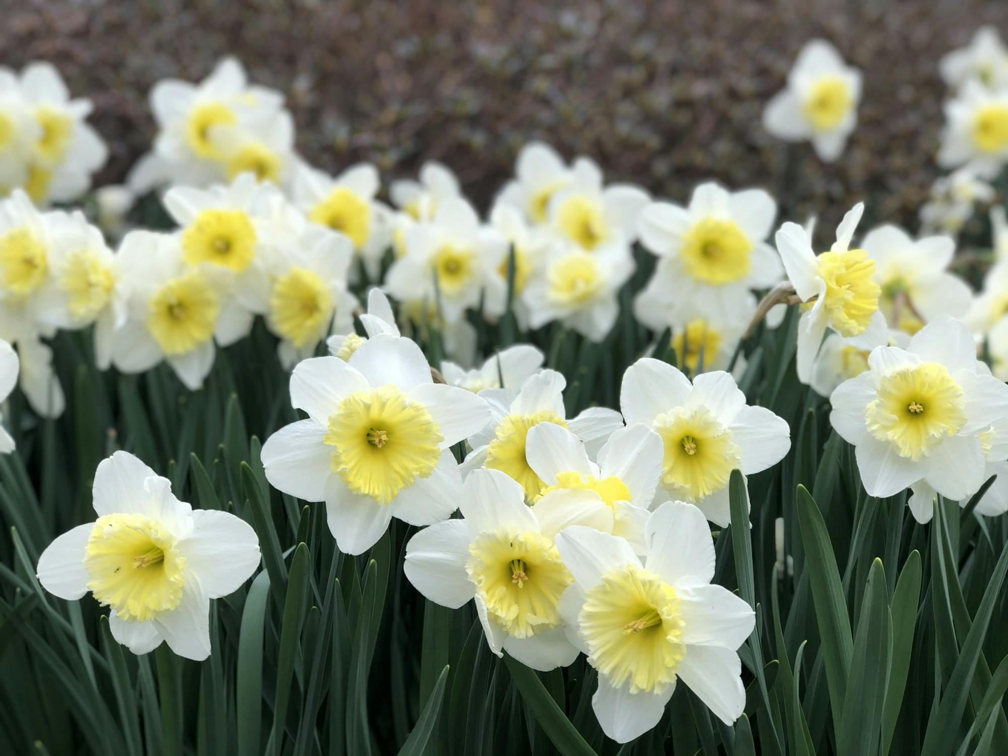 COURTESY OF RUDY MALCOM
Malcom is social distancing with his boyfriend in Baltimore.