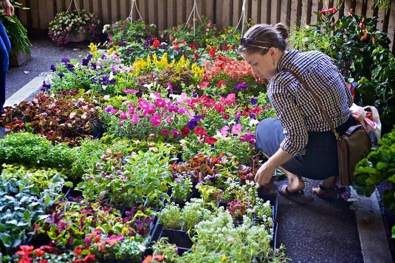 courtesy  of Baltimore farmer’s market via Facebook
Fresh flowers are just one of many tenderly grown products from the farmer’s market.