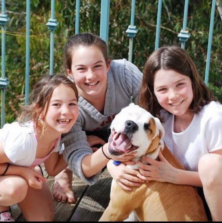 COURTESY OF JACKIE RITTENHOUSE
Rittenhouse reflects on the way her pets have shaped her life and how she has had to adapt after losing them.