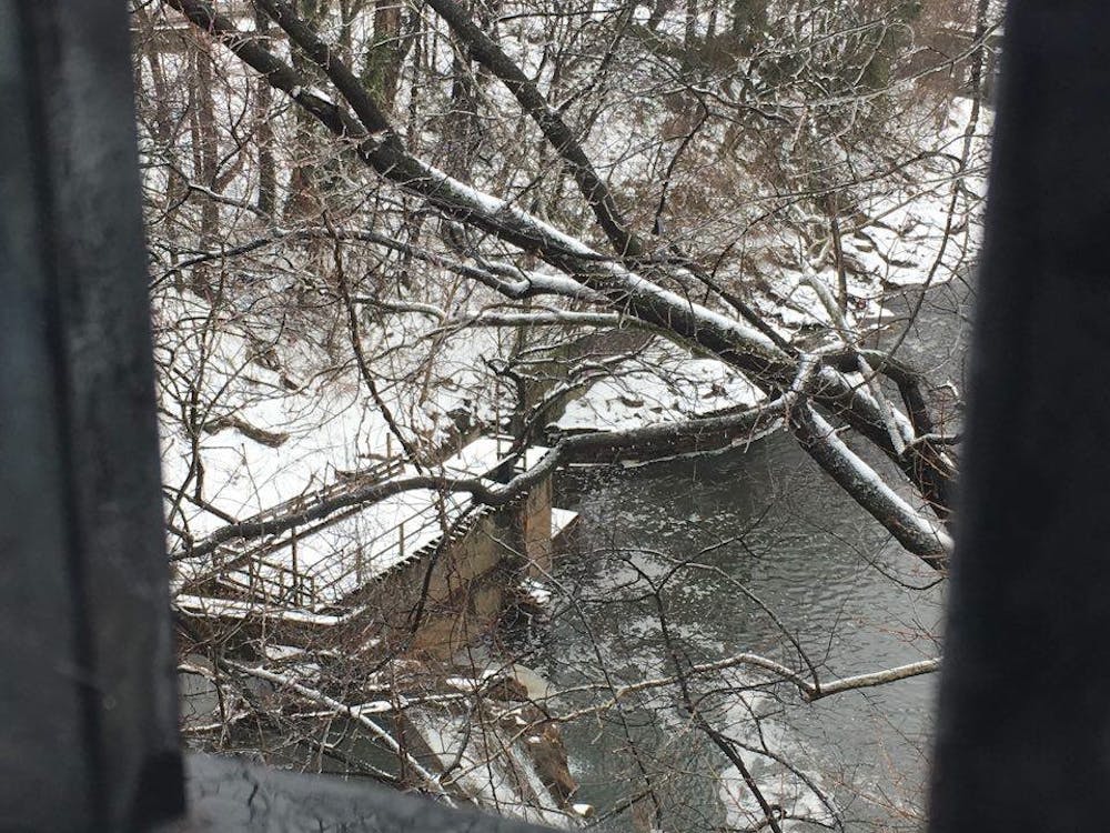 COURTESY OF RENEE SCAVONE
A look down while crossing the highway on the way to Druid Hill.