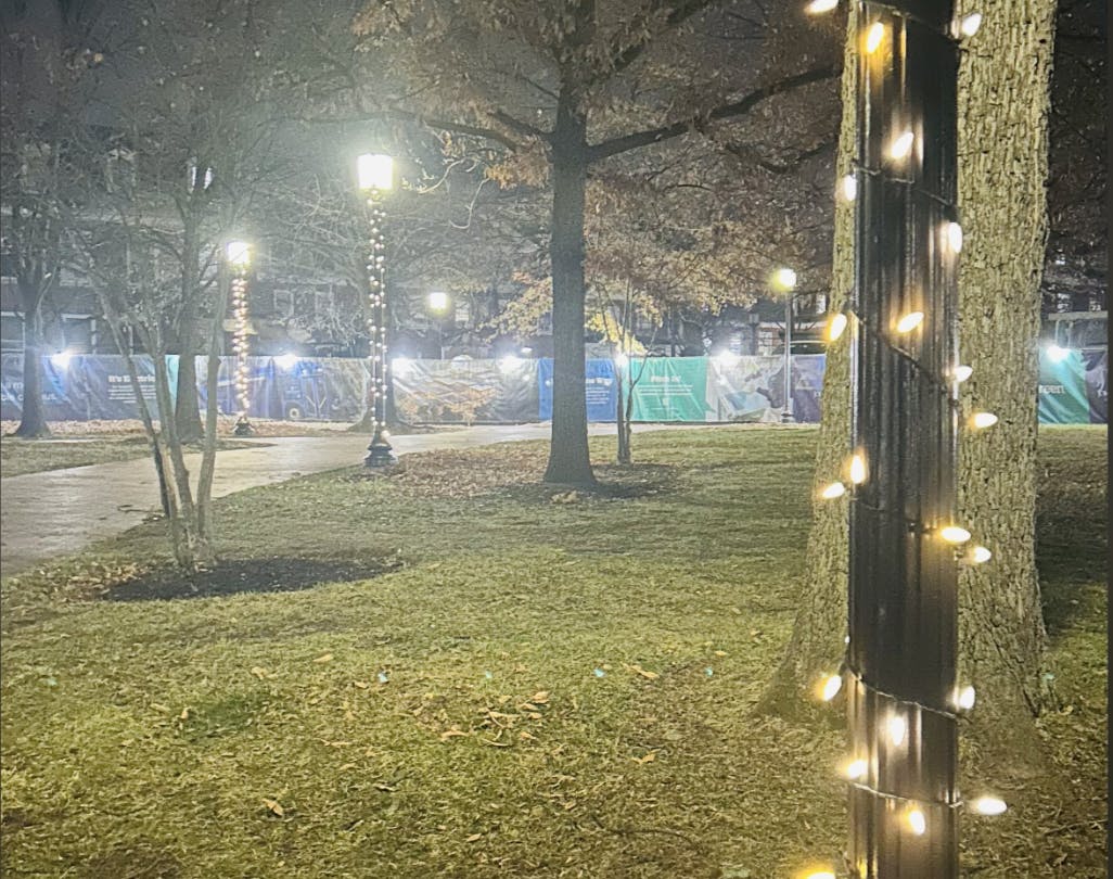 COURTESY OF CATHERINE CHAN
Chan thinks on her shifting relationship to light.