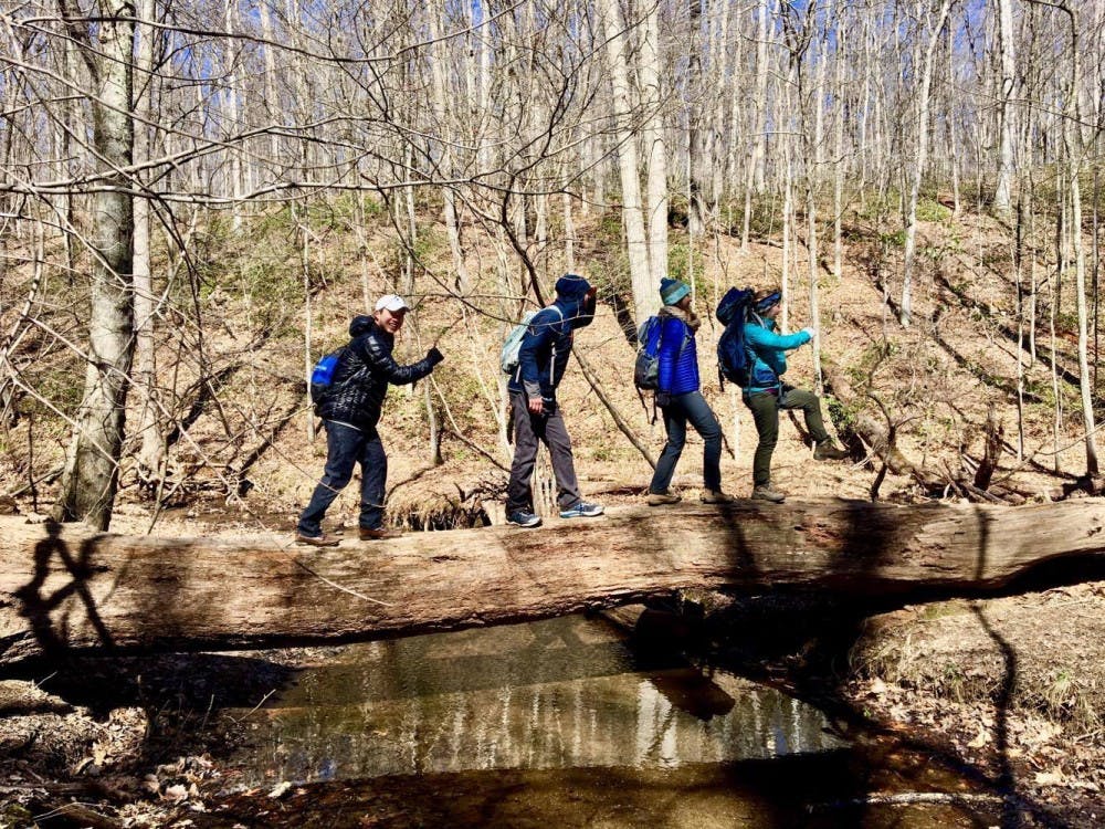 COURTESY OF EMMA WEINERT
Hikers cheerfully march across a log at Oregon Ridge Park, showing that fun can be had even in the cold.