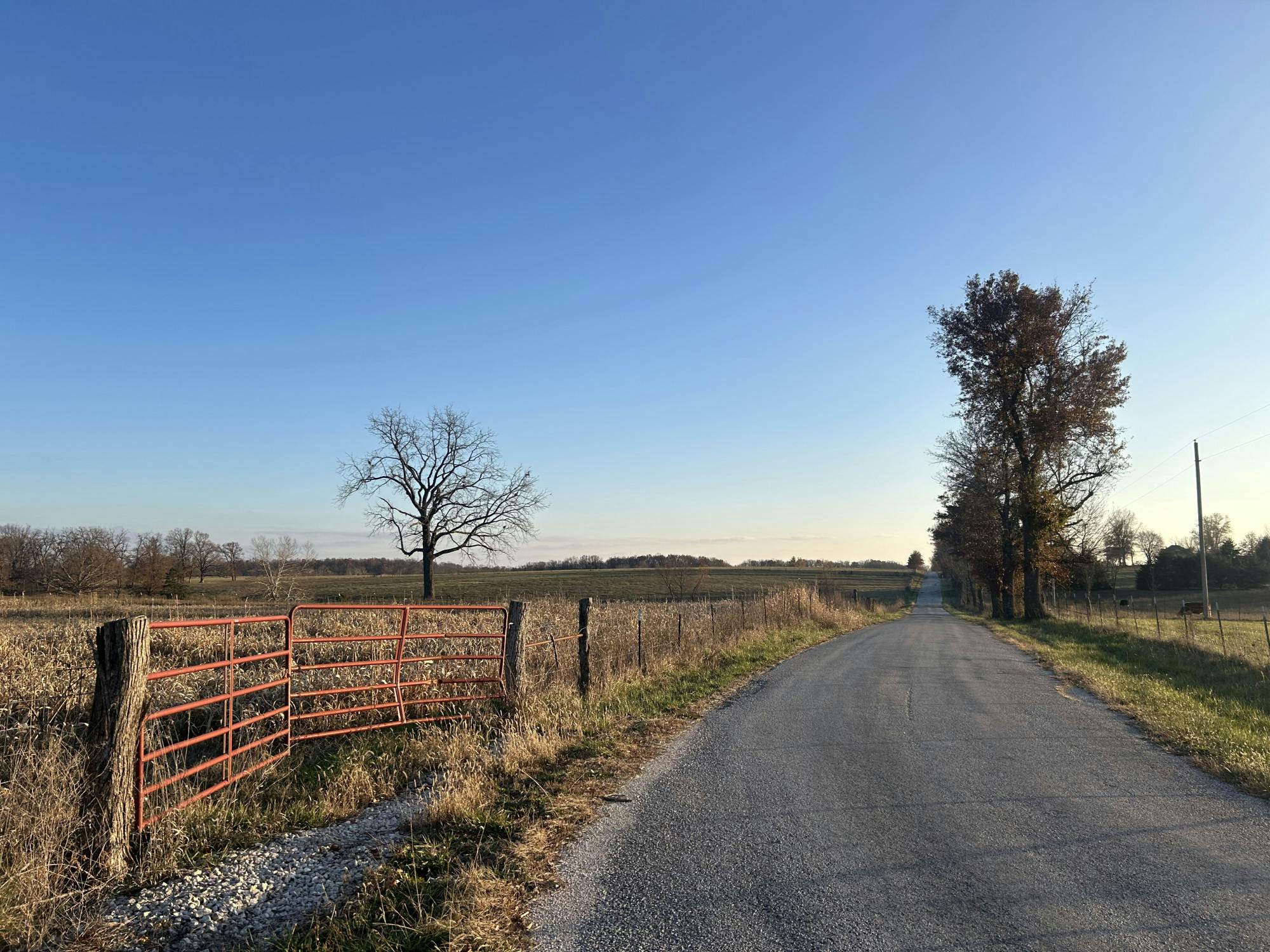 COURTESY OF RILEY STRAIT
Strait contemplates poetry, honesty and where the two connect — or don’t.