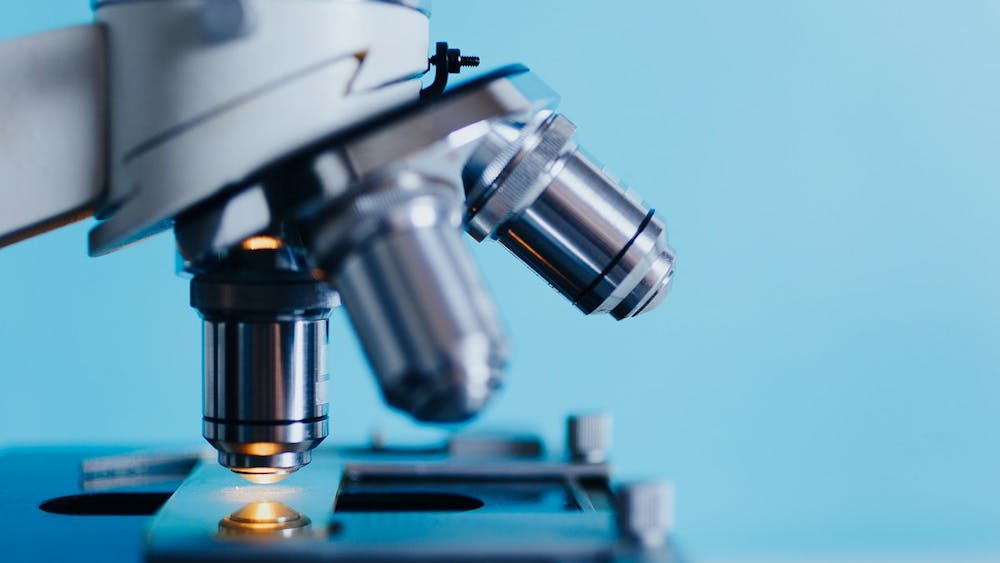 RAWPIXEL.COM / CC0 1.0 DEED
Doctoral candidates at Hopkins helped discovered a combination of microscopy methods that can facilitate understanding and early detection of treatment-resistant cells. 