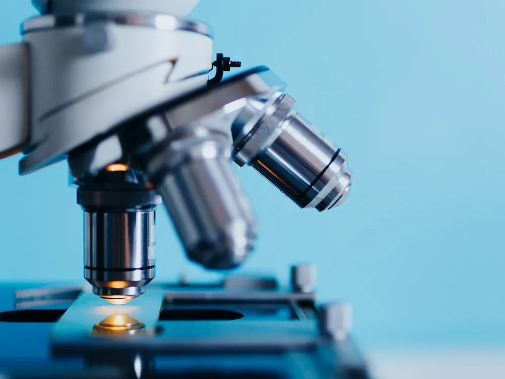 RAWPIXEL.COM / CC0 1.0 DEED
Doctoral candidates at Hopkins helped discovered a combination of microscopy methods that can facilitate understanding and early detection of treatment-resistant cells. 